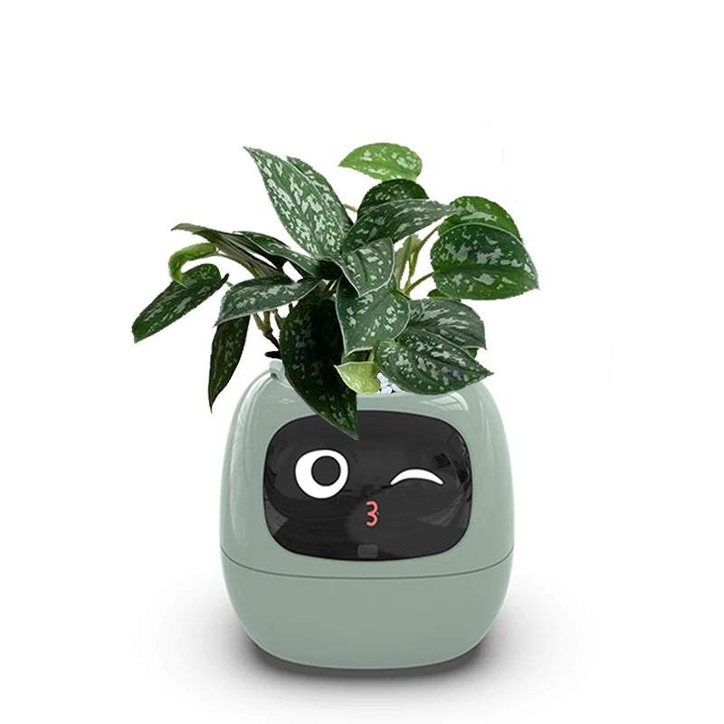 Smart Small Flower Pot - HAIIZ