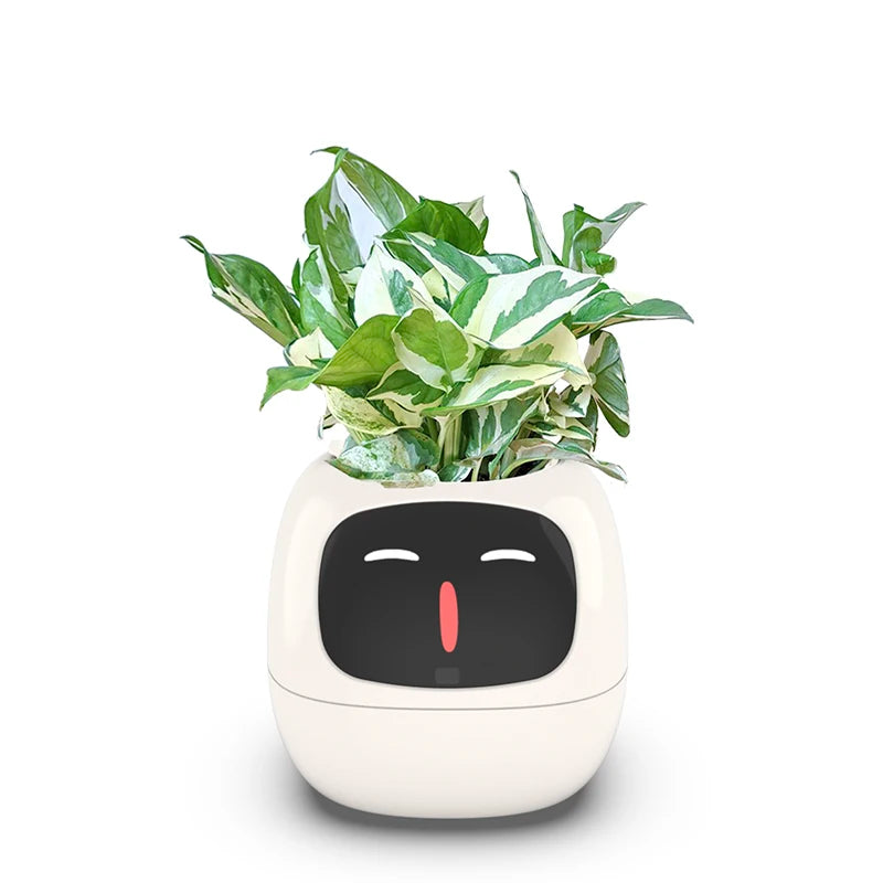 Smart Small Flower Pot - HAIIZ