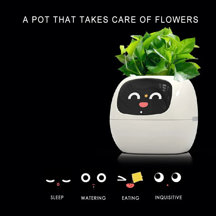 Smart Small Flower Pot - HAIIZ