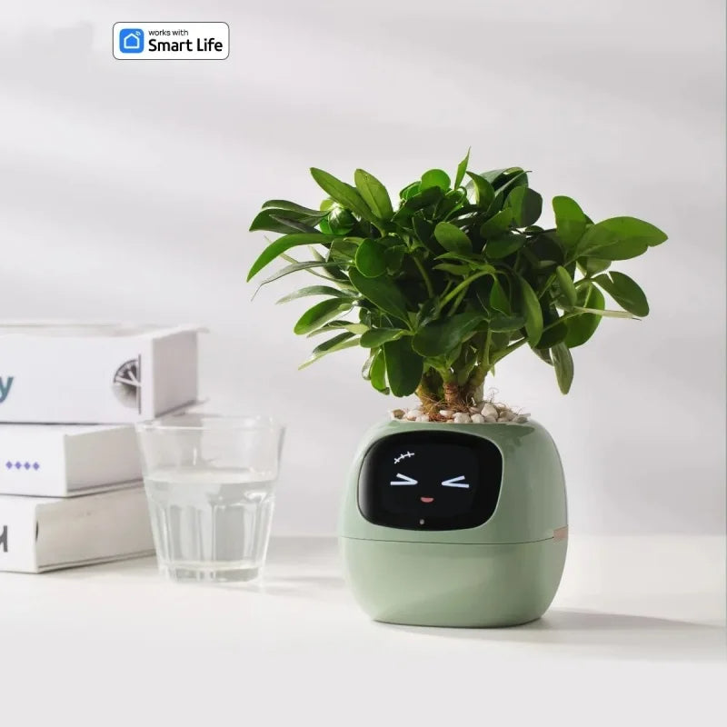 Smart Small Flower Pot - HAIIZ