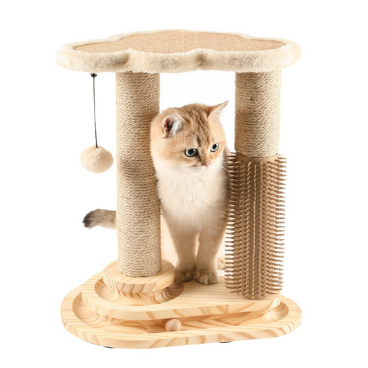 Cat Scratching Post - HAIIZ