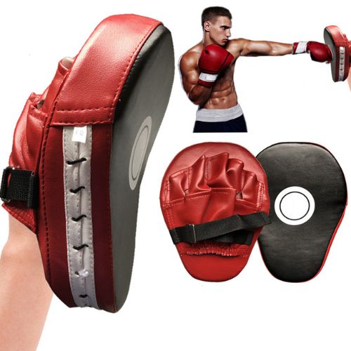 2x Punching Mitts - HAIIZ