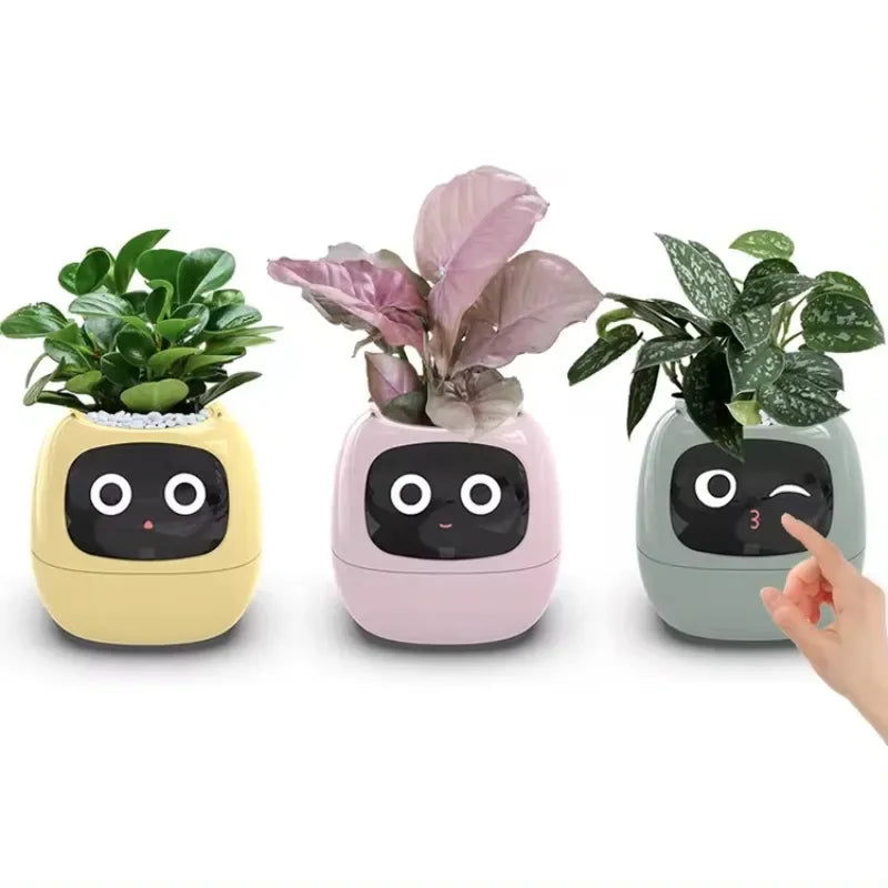 Smart Small Flower Pot - HAIIZ