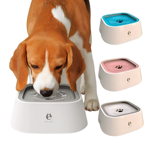 Anti-Spill Dog Water Bowl - HAIIZ