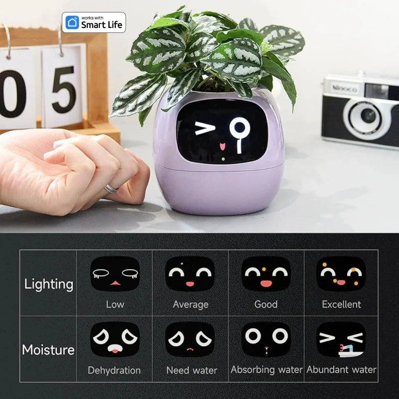 Smart Small Flower Pot - HAIIZ