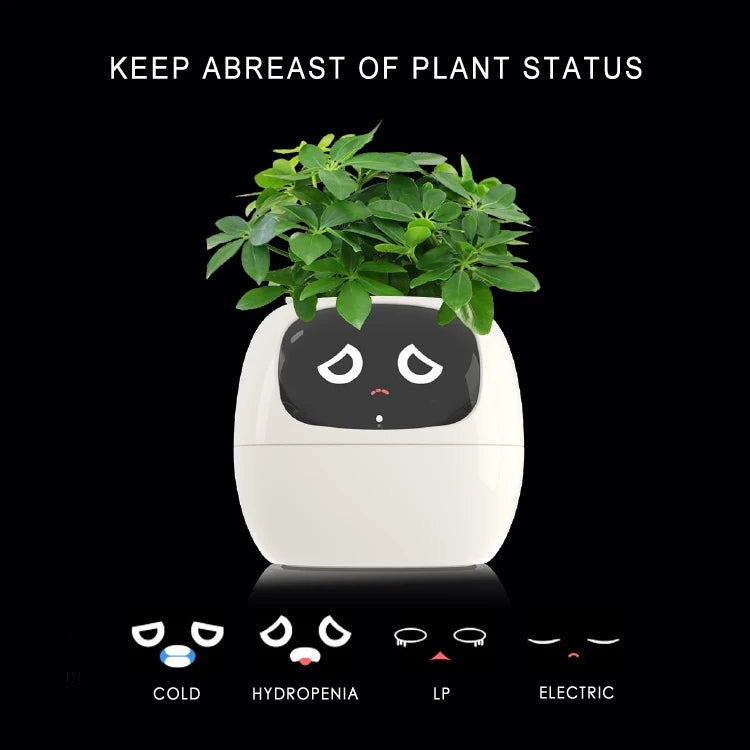 Smart Small Flower Pot - HAIIZ