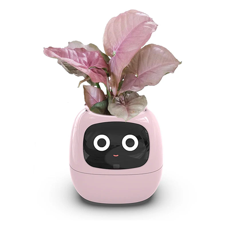 Smart Small Flower Pot - HAIIZ