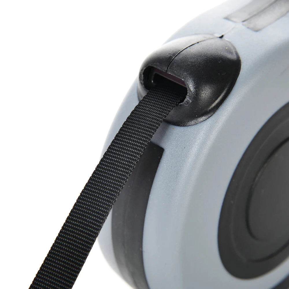 Dog Leash - HAIIZ