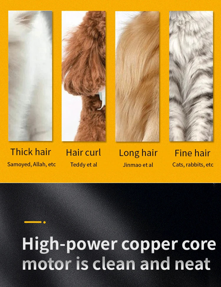 Professional Dog Hair