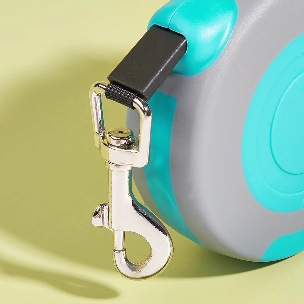 Dog Leash - HAIIZ