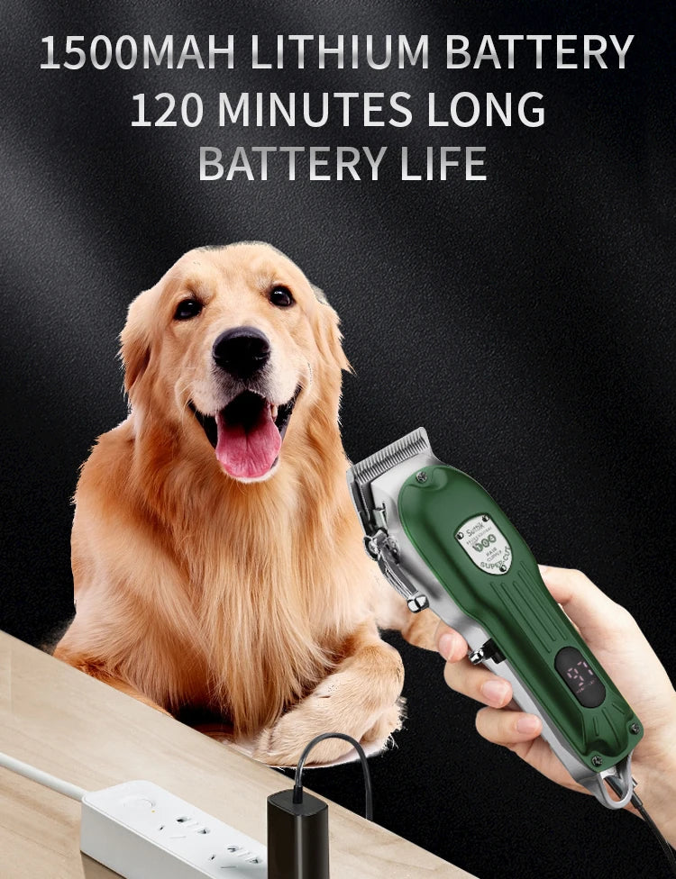 Professional Dog Hair