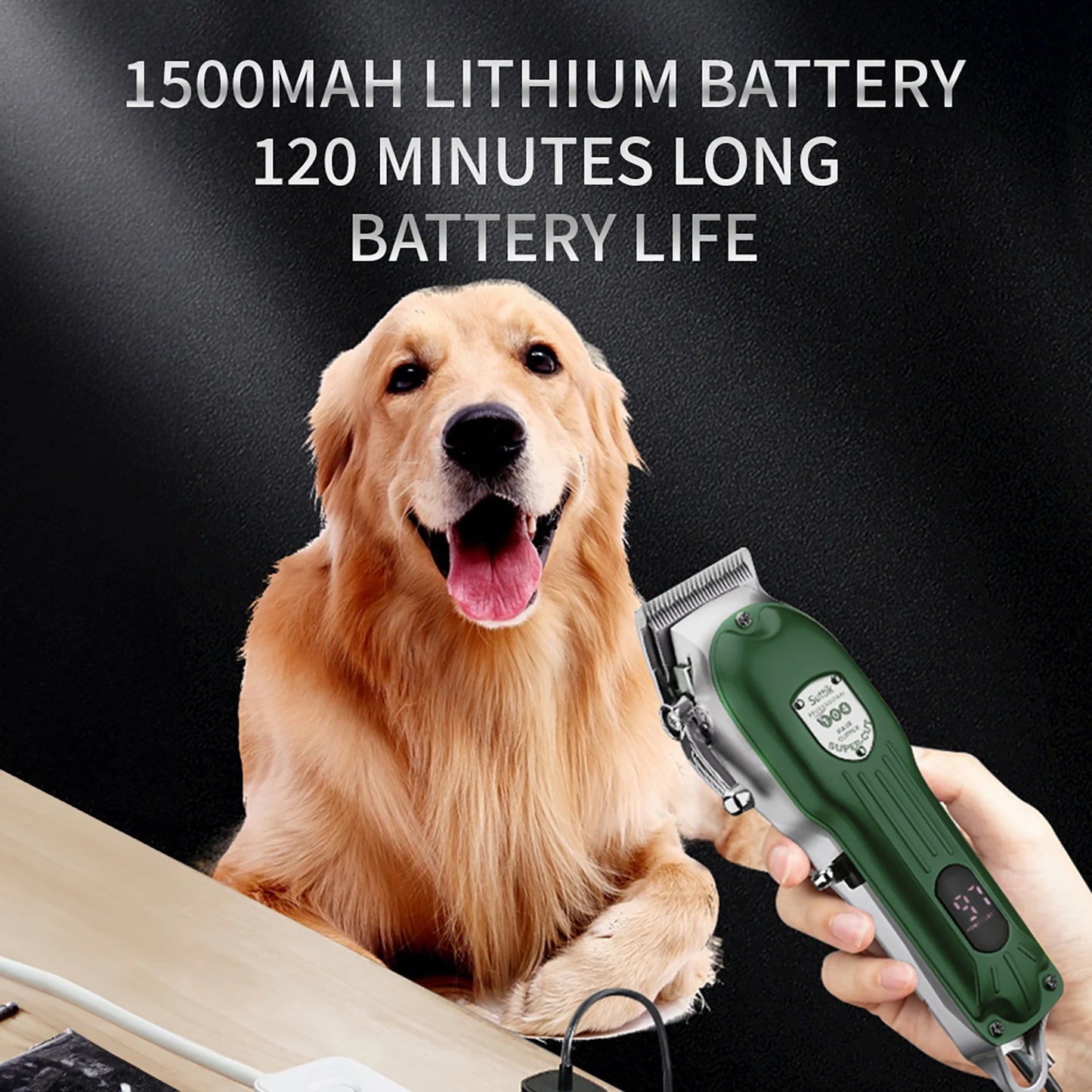 Professional Dog Hair