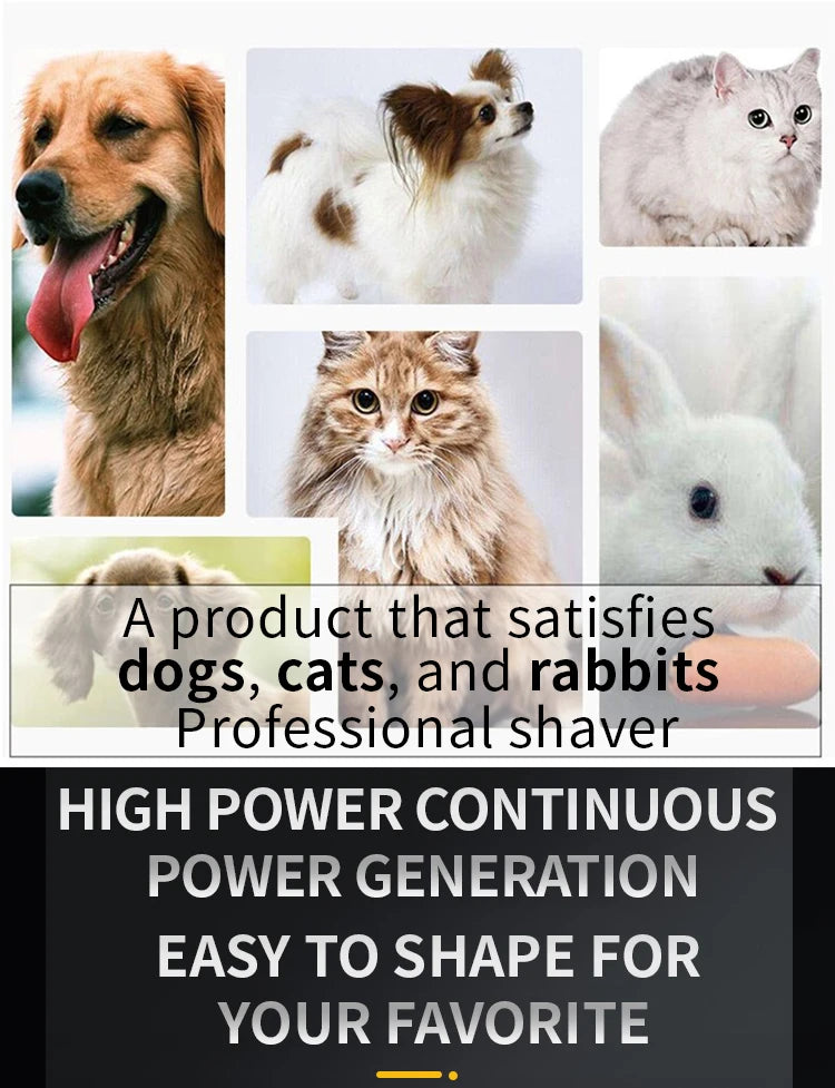 Professional Dog Hair