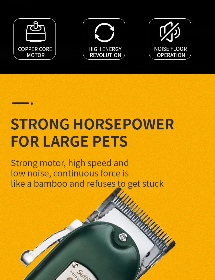 Professional Dog Hair