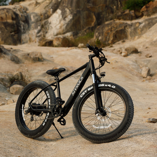 Professional Electric Bike - HAIIZ